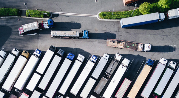 Regime di solidarietà negli appalti: prestazione di più servizi di logistica