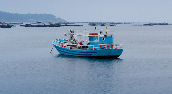 CCNL Pesca Cooperative – Costiera locale, mediterranea e ravvicinata: in vigore gli aumenti retributivi