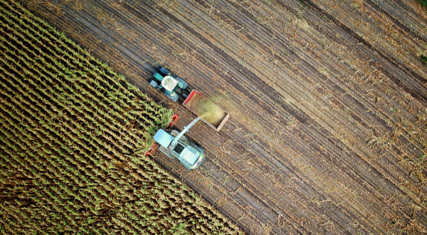 CIPL Agricoltura Operai Salerno: dal mese di aprile previsto un aumento salariale del 2%