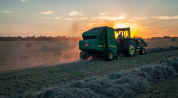 Calamità naturali: le disposizioni per le agevolazioni previdenziali nel settore agricolo
