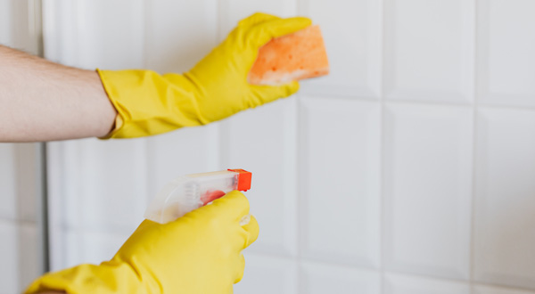 Prestazione universale: chiarimenti sulla titolarità del rapporto di lavoro