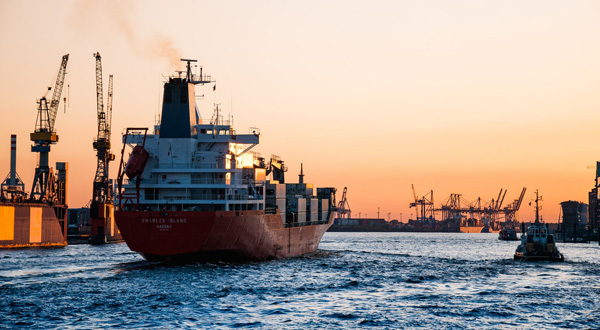 Salute e sicurezza dei marittimi e dei ferrovieri: le deleghe al governo